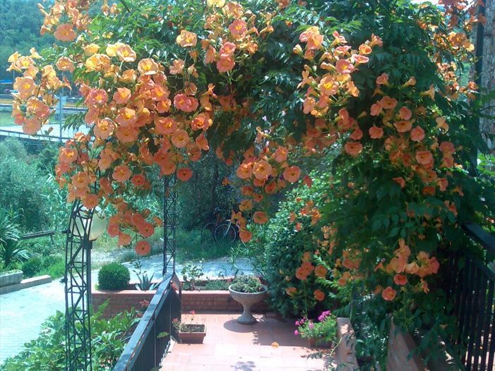 La Magione Ξενοδοχείο Serravalle Pistoiese Εξωτερικό φωτογραφία